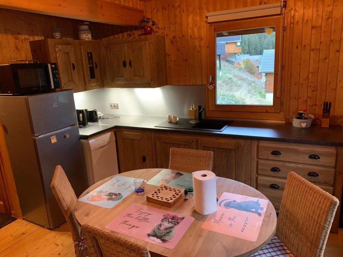 Chalet Proche Morzine Et Lac Leman Wifi Offert Le Biot Kültér fotó